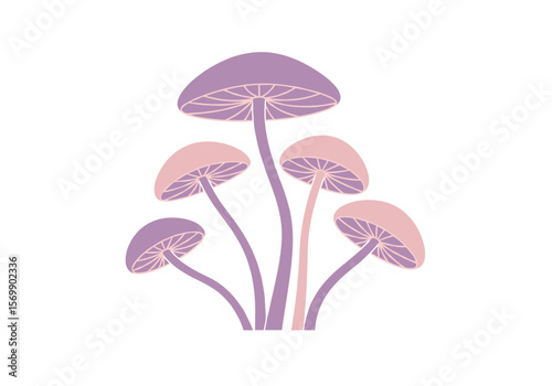 Pink and purple mushrooms in minimalist style illustration  