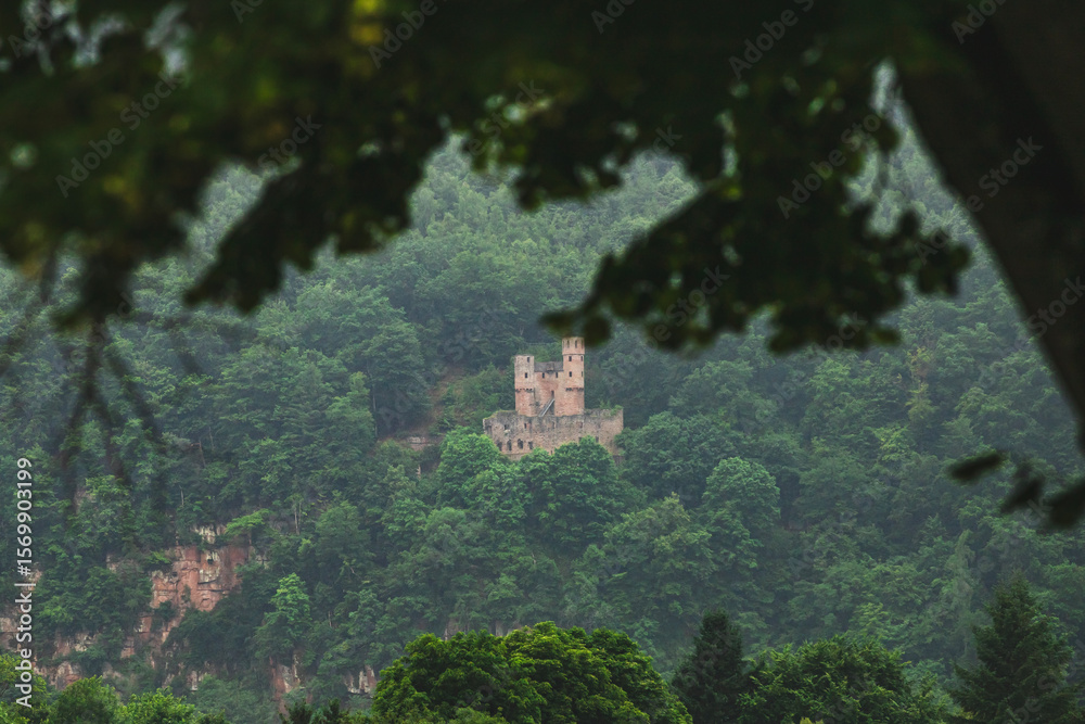 Fototapeta premium ruins of the old castle
