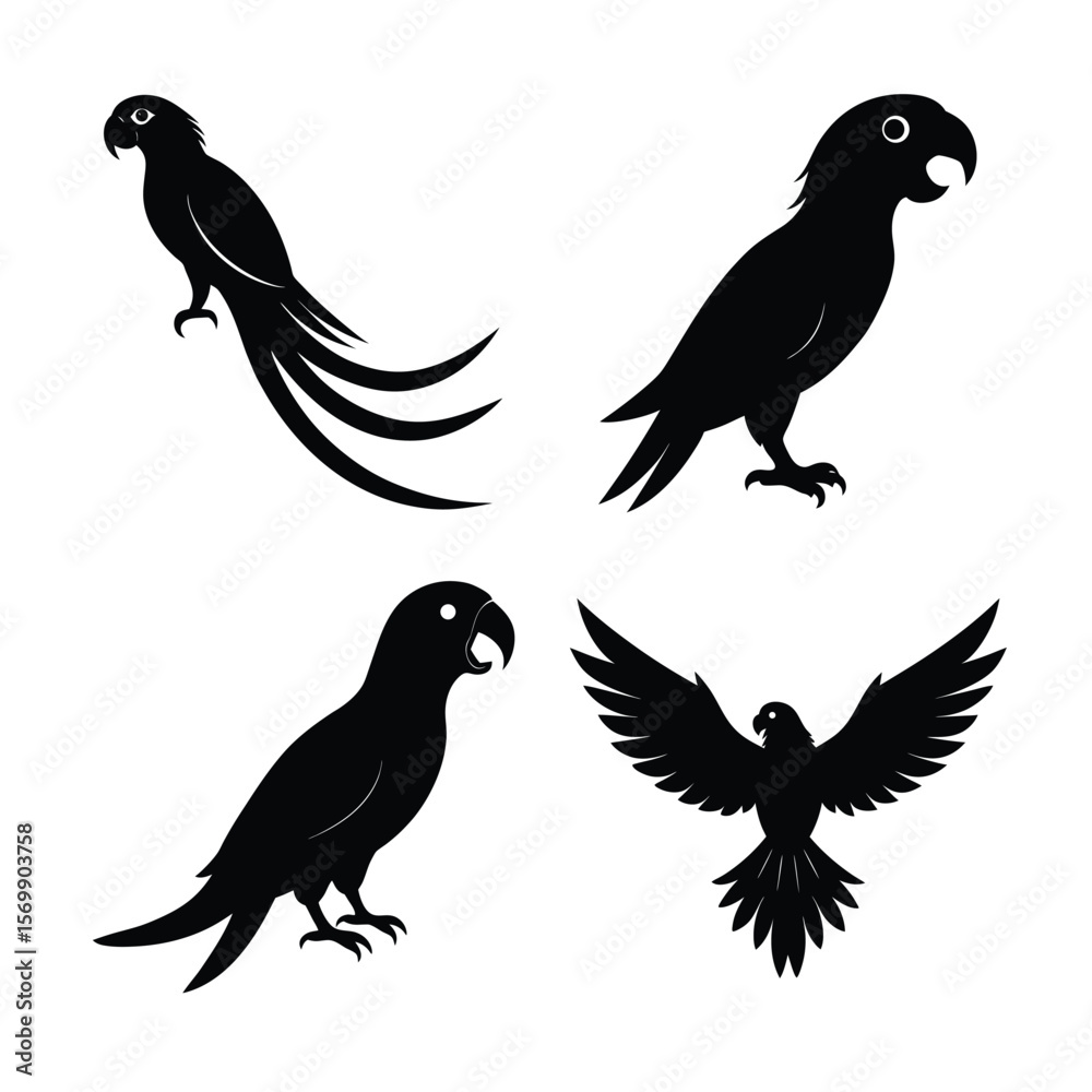 Obraz premium silhouette parrots Bundile