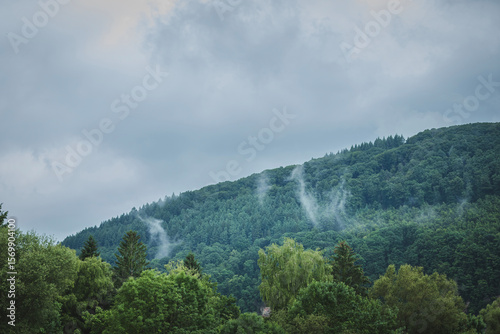 Wallpaper Mural Misty Steam Rising After Rain in the Mountains Torontodigital.ca