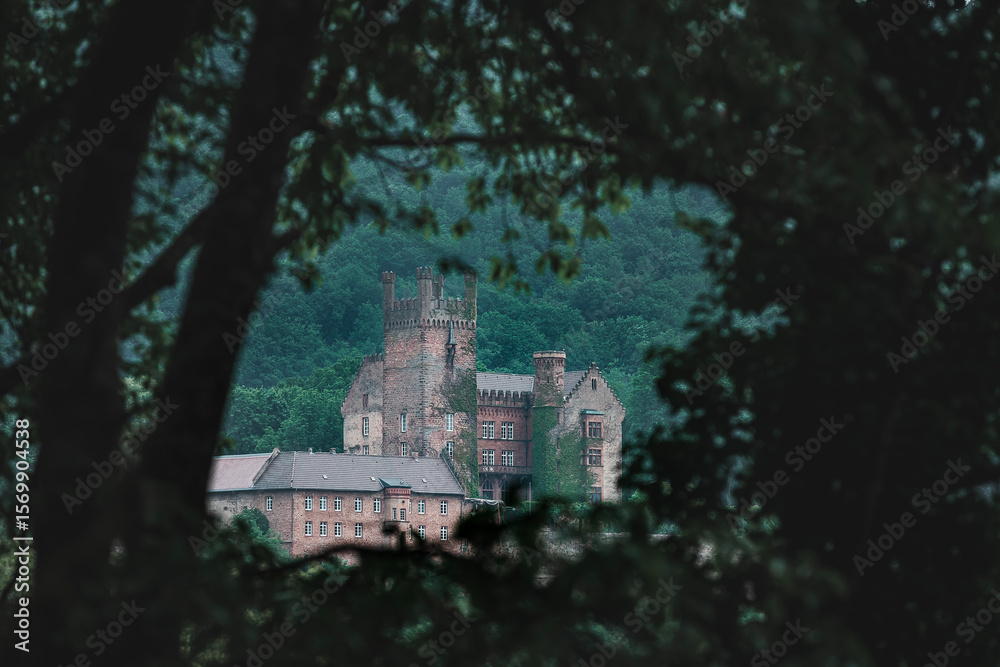 Fototapeta premium castle in the woods