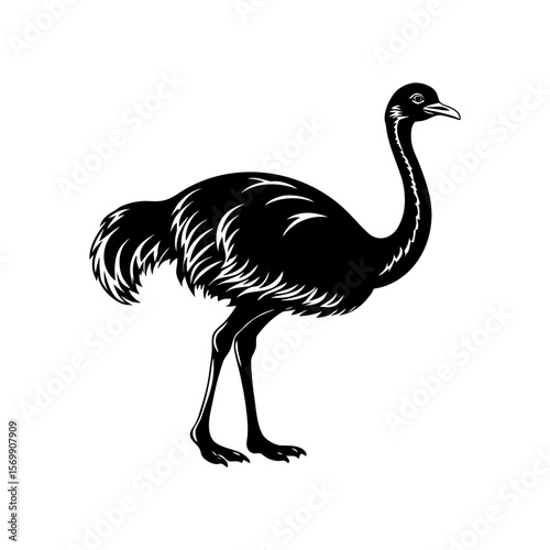 Ostrich clipart on a white background vector illustration