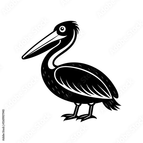 Pelican clipart on a white background vector illustration
