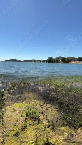 Algae washed up on the shore of the lake after their proliferation
