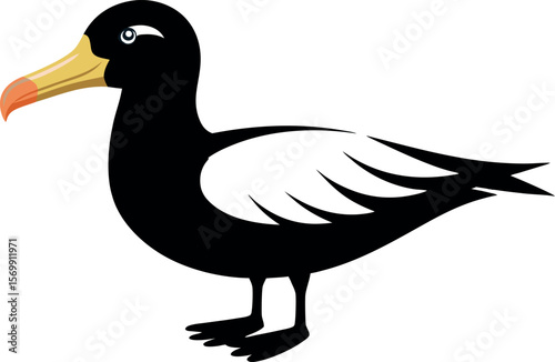 Elegant Albatross Vector Illustration for Bird Studies