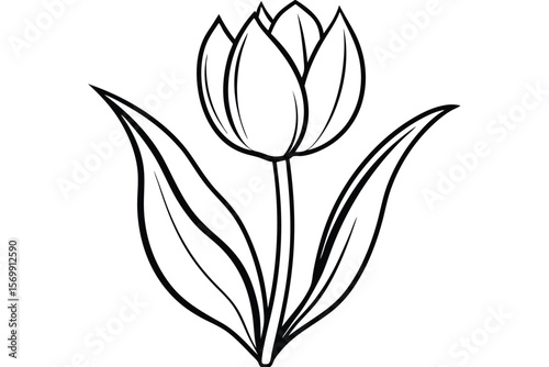 Black and White Line Art Depicting a Tulip Flower with Leaves Illustration