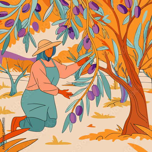 Farmer picking olives from tree branches during autumn season, harvesting ripe fruits in orchard. Farmer picking olives requires skill and patience in agricultural work, seasonal job on farm.