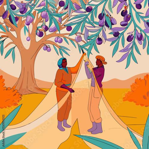 Olive harvest season, net under tree shows workers gathering olives. Collecting olives with net under tree for olive gathering is an integral part of agriculture.