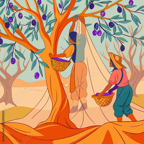 Illustration of net under tree for olive harvest, capturing mediterranean tradition. Net under tree for olive harvest involves family and community, demonstrating traditional agriculture.