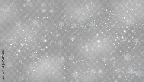 White snowflakes falling on transparent background. Light winter snowfall with multiple shapes and forms. Frosty air overlay for Christmas, winter holidays, or seasonal design.