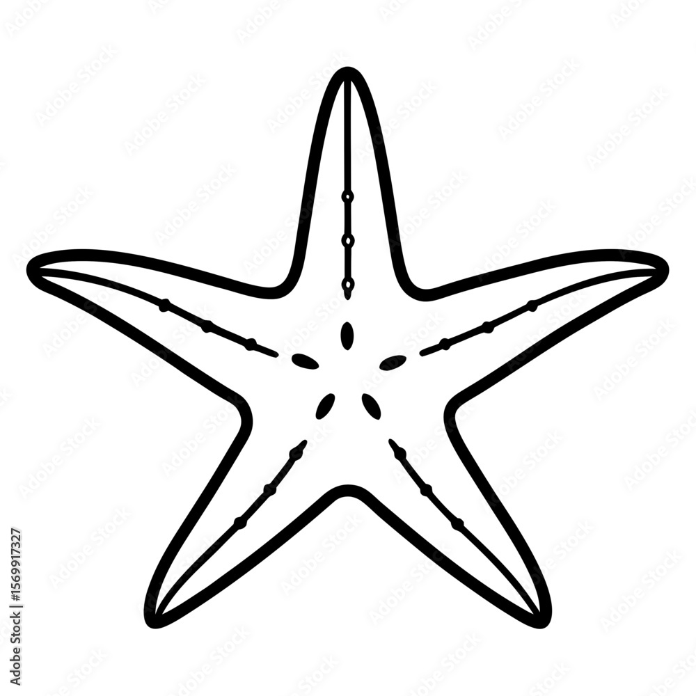 Starfish on sand line art vector illustration Starfish on sand line art vector illustration