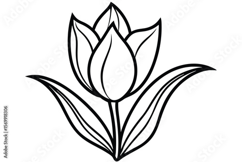 Outlined Black and White Tulip Illustration Featuring Leaves and Stem for Coloring Books