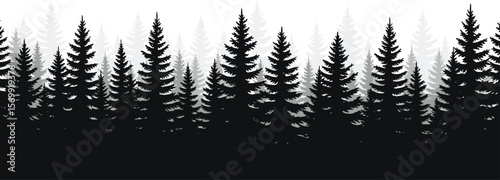 Dense forest of fir and pine tree silhouettes, panoramic view, outdoor, nature, wilderness, landscape, black and white, minimalist, evergreen, natural, serene, peaceful, tran.