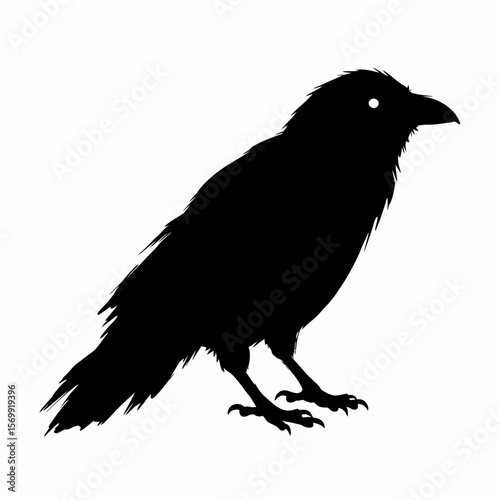 Majestic Raven Silhouette A Striking Black and White Bird Illustration