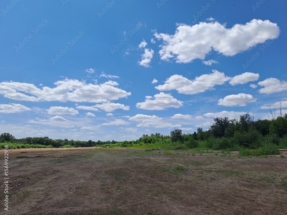 Fototapeta premium road to the sky