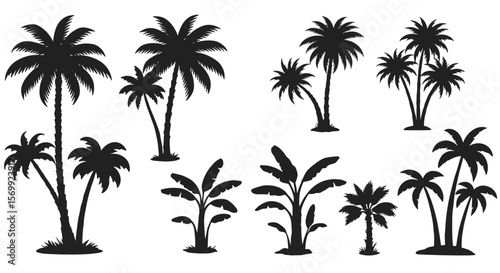 A collection of stylized black palm tree silhouettes, perfect for tropical design elements, isolated on a clean white background, ready for various creative projects.