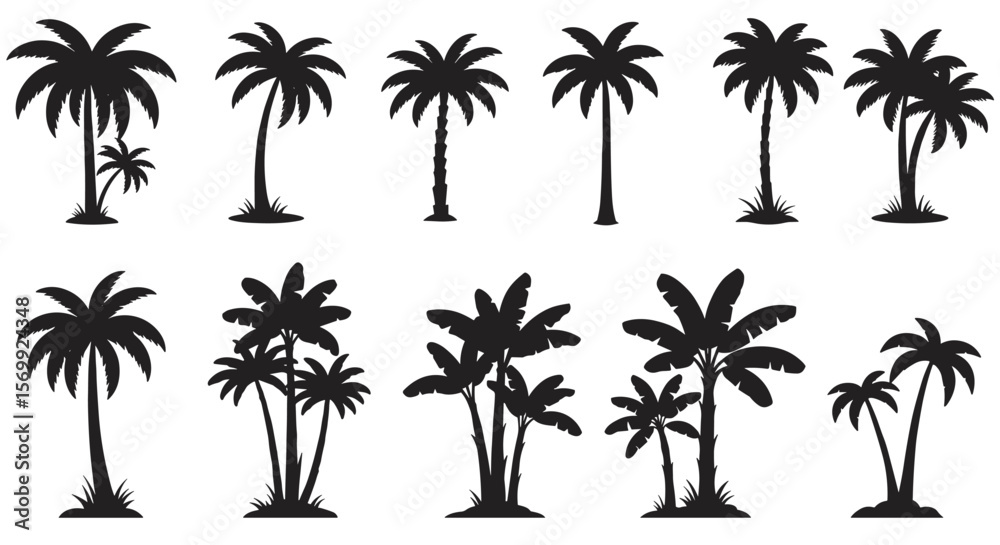 Fototapeta premium Collection of diverse black palm tree silhouettes isolated on a white background, representing tropical nature and summer.