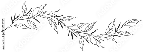 floral leaves line art isolated on white background. Divider doodle leaf and flowers, nature border decorative element vector illustration