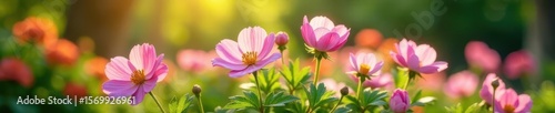 Delicate pink flowers in a garden bed with lush greenery and sunlight filtering through leaves, pink chia flowers, flower blooms, nature photography