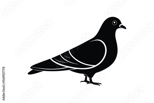 Silhouette art illustration of a Pigeon.eps