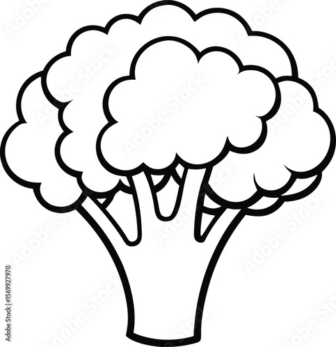 Broccoli: A bold illustration of a broccoli, with a clean, defined outline, this image is a celebration of the natural shape and structure of this nutritious vegetable, symbolizing freshness, health.