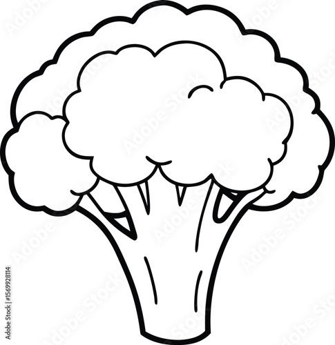 Broccoli: A close-up, monochrome depiction of a fresh, crisp broccoli head, a nutritional powerhouse.
