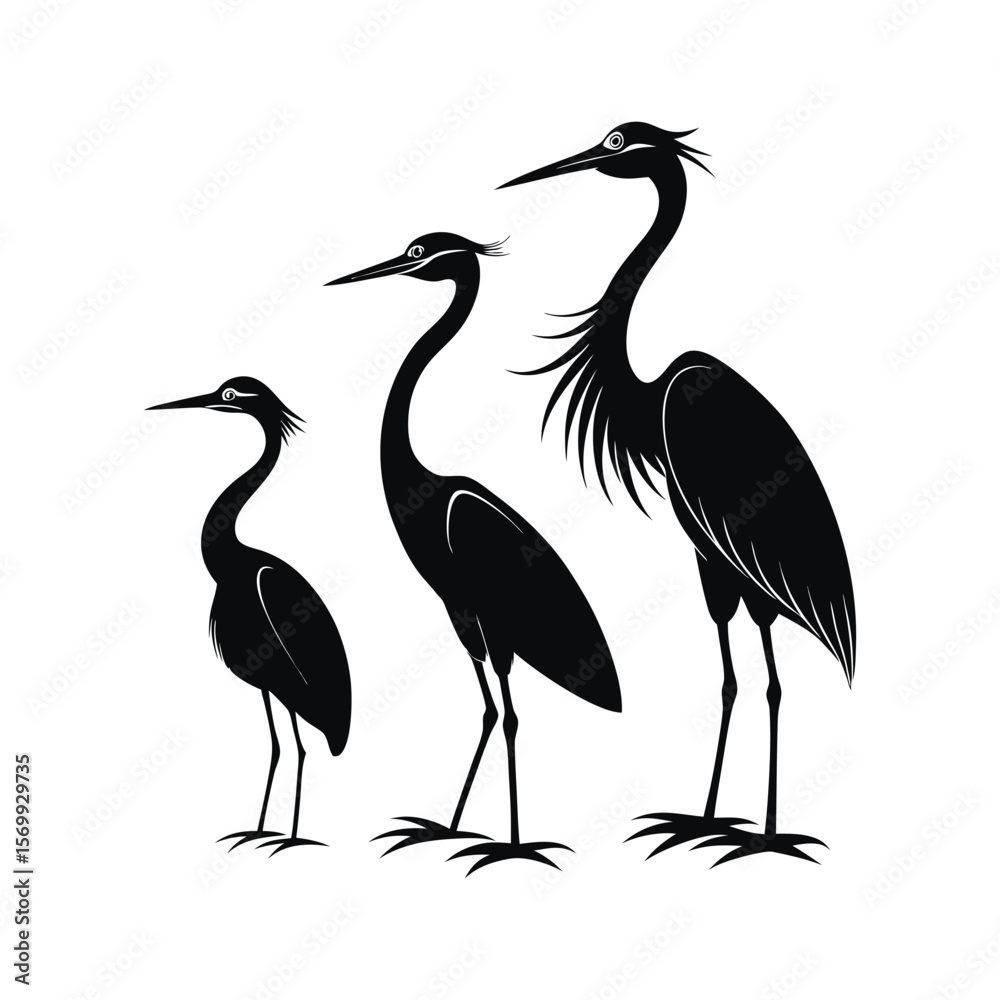Fototapeta premium Silhouetted Herons in Natural Poses