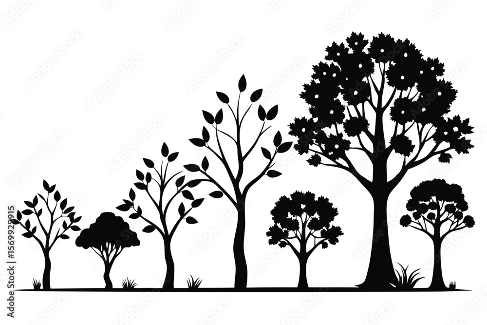 Fototapeta premium Silhouetted Trees Variety Vector Graphics of Deciduous Trees with Varied Shapes and Foliage