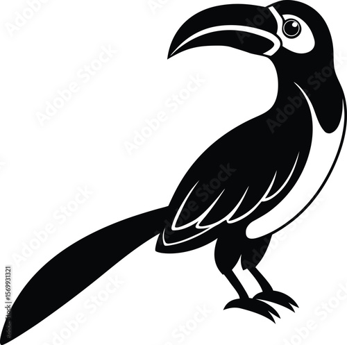 hornbill bird on white background.eps