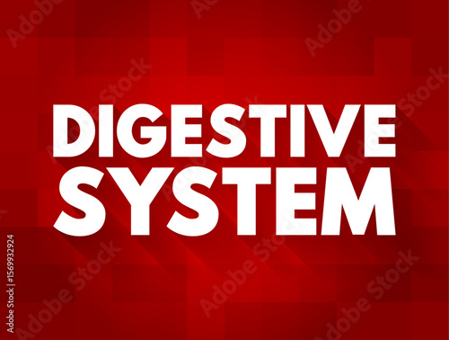 Digestive System consists of the gastrointestinal tract plus the accessory organs of digestion, text concept background