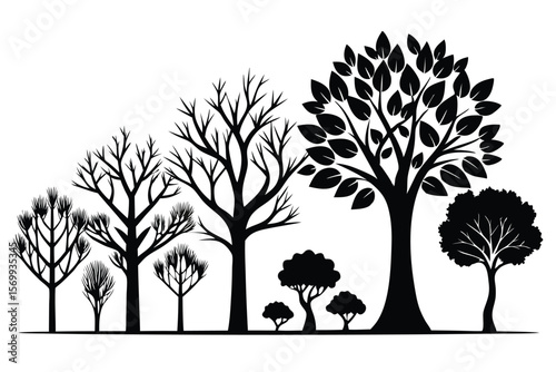 Silhouette of Forest Trees Depicting Seasonal Change from Bare Branches to Full Foliage