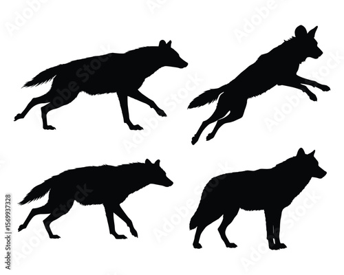 Four Wild Canine Silhouette Set in Action and Stillness, A set of four black silhouette illustrations of canines, possibly African wild dogs or wolves, in dynamic poses.