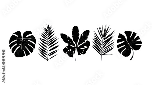 A minimalist black and white illustration showcasing silhouettes of tropical leaves on a clean background.