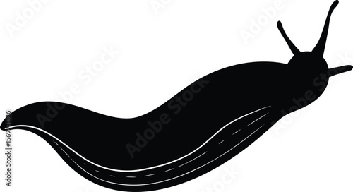 slug on white background.eps