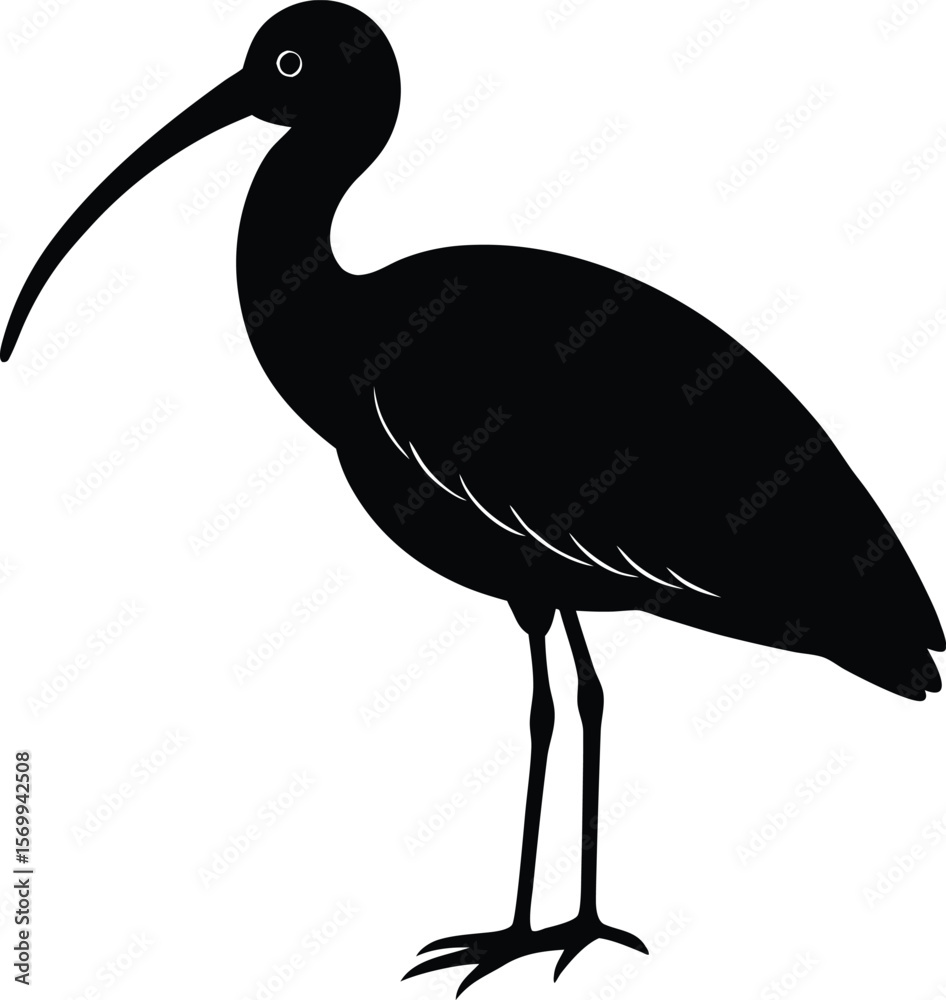 Obraz premium spoonbill bird on white background.eps
