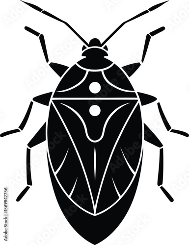 stink bug on white background.eps