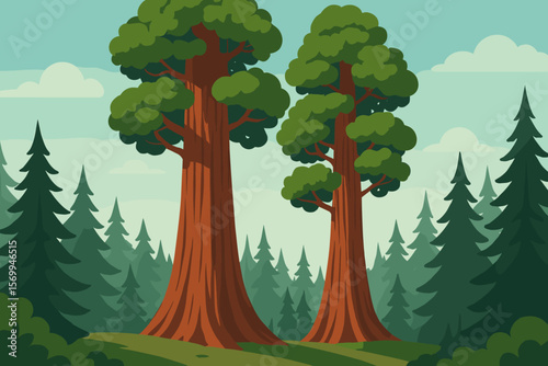 Majestic sequoia trees towering in lush pine forest, cartoon vector illustration. Tall redwoods, evergreen woodland landscape, nature scenery, modern flat design, outdoor adventure concept