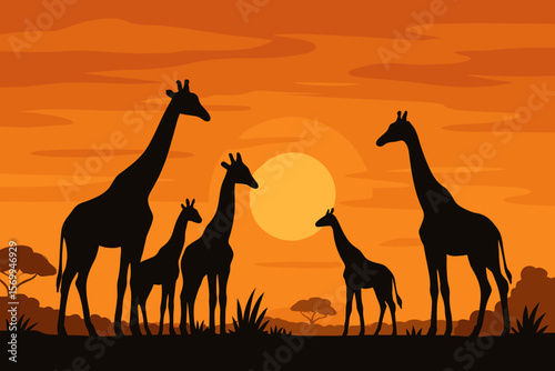 African safari landscape with wild giraffe herd silhouettes at sunset. Wildlife in savanna. Africa nature scene. Travel and adventure concept. Flat cartoon vector illustration.