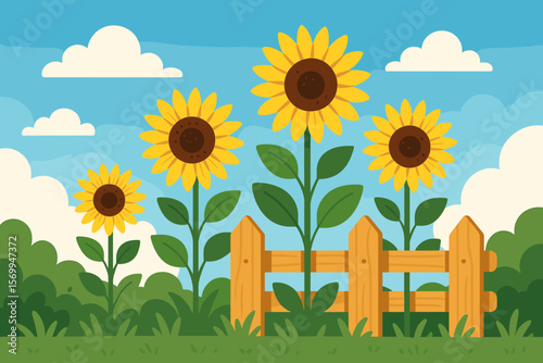 Vibrant sunflowers in summer garden with wooden fence, lush green grass, blue sky, fluffy clouds. Blooming yellow flowers, countryside landscape, rural outdoor nature vector illustration