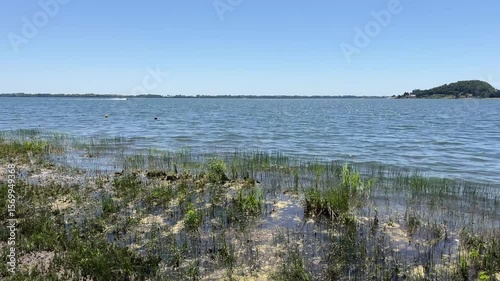 View of Lake Zemplinska Sirava from the shore full of aquatic plants and algae, with recreational water sports activities in the background