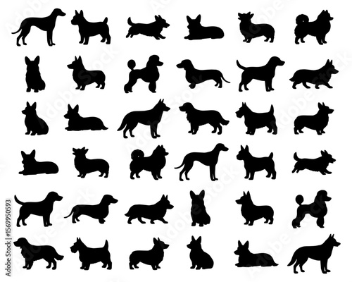 Set of silhouettes of dogs of different breeds. Vector isolated on background EPS 10.