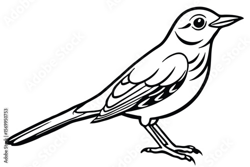 Elegant Bird Outline Illustration Side View of a Detailed Vector Image of a Bird