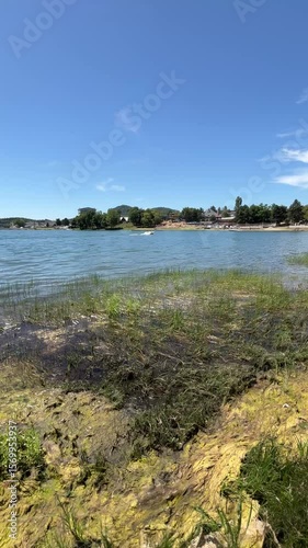View of Lake Zemplinska Sirava from the shore full of aquatic plants and algae, with recreational water sports activities in the background