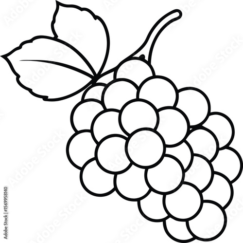 Grape Illustration: A detailed illustration of a luscious cluster of grapes, complete with a leaf and stem, ready to be enjoyed.
