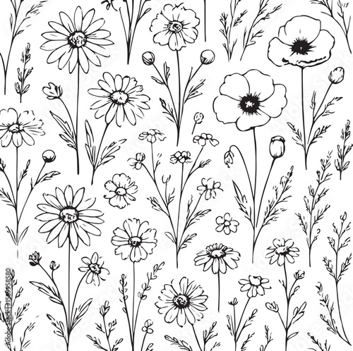 Collection of hand drawn floral elements including daisies and poppies with delicate stems and leaves in a simple black and white sketch style