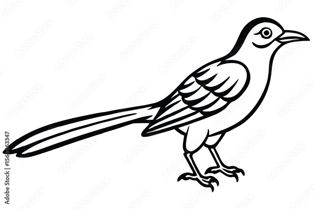 Fototapeta premium Stylized Black and White Illustration of a Mockingbird with Long Tail Feathers