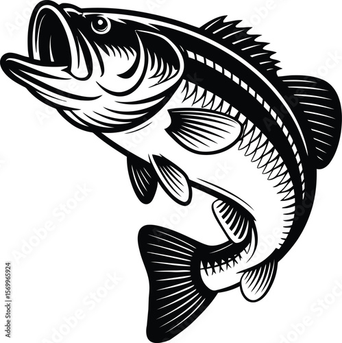 Black and white illustration of a largemouth bass leaping from the water