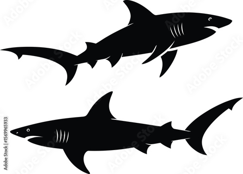 Two black silhouette sharks swimming gracefully 