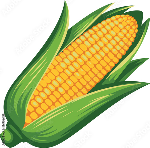Fresh yellow corn on the cob with green leaves isolated