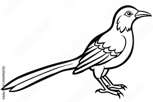 Line art illustration of a standing bird with a long tail and claws